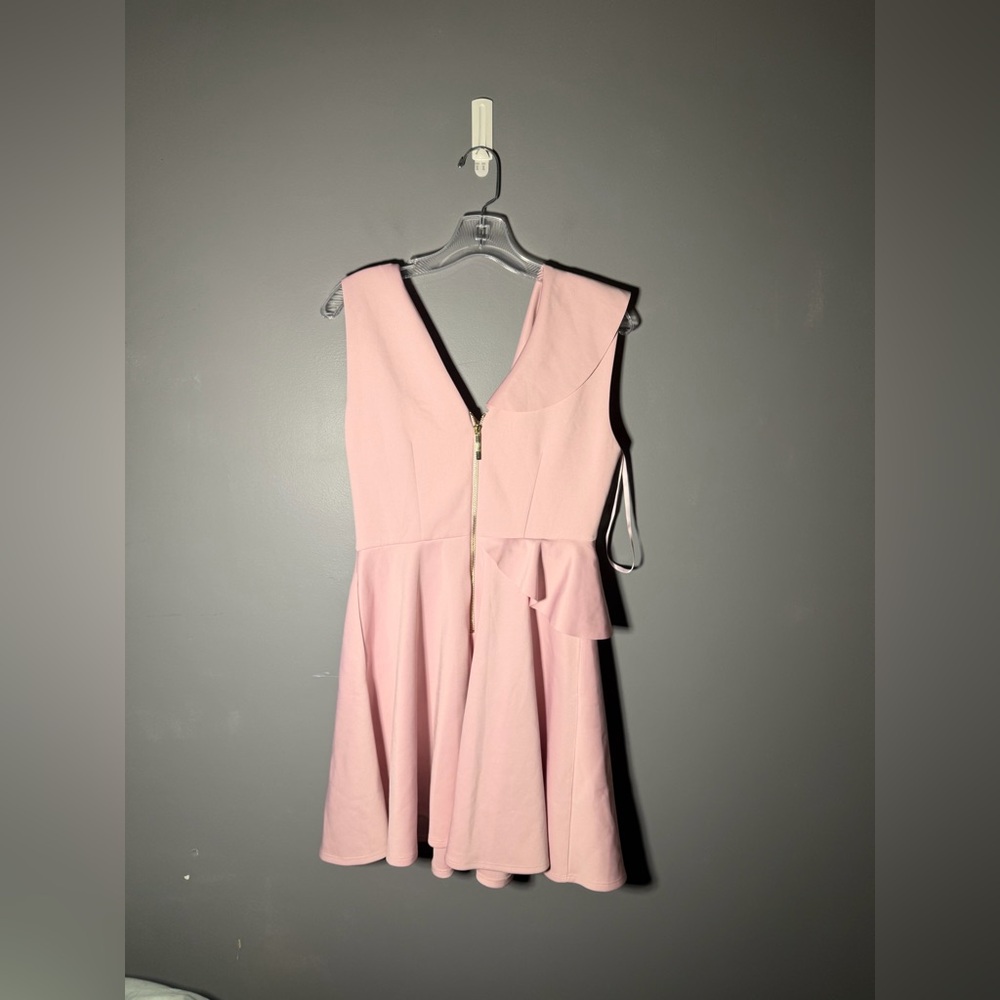 Ted Baker London Lantaa Ruffle Detail Skater Dress Size 6 - Picture 3 of 5